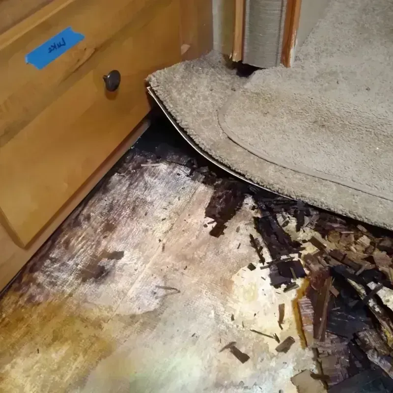 Wood Floor Water Damage in Bennsville, MD